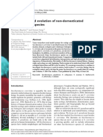 The Ecology and Evolution of Non-Domesticated Saccharomyces Species