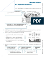 Ficha de Trabajo 3 6to Grado (2) Imprimir