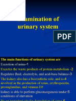 Examinationofurinarysystem (1)