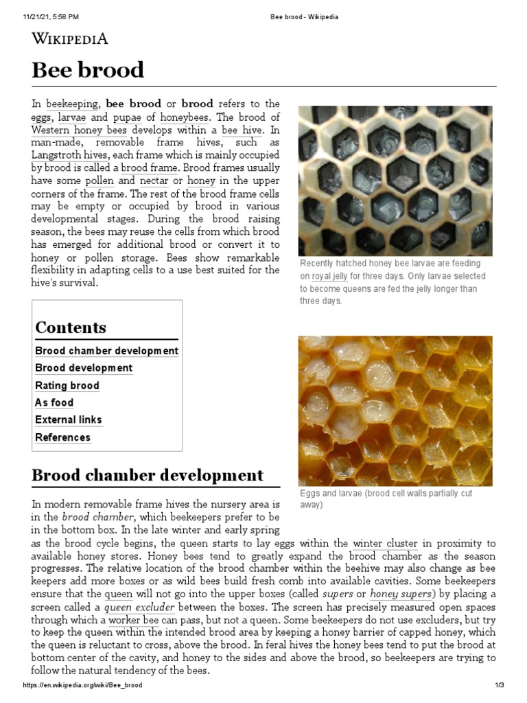 Bee Brood - Wikipedia | PDF | Hobbies | Beekeeping