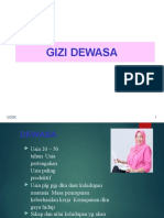 Gizi Untuk Dewasa