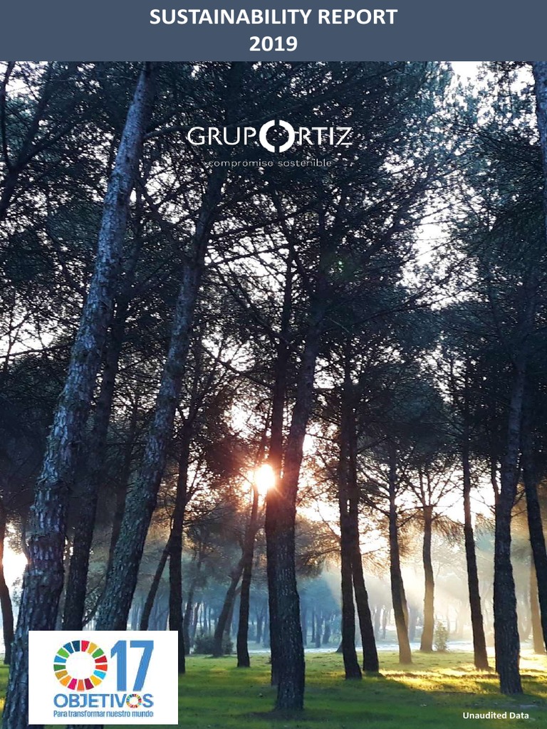 Sustainability Report 2019 | PDF | Sustainability | Governance