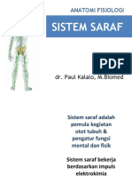 Anatomi Dan Fisiologi Saraf Rev 2