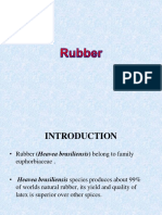 RUBBER-PPT