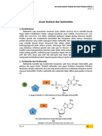 3.-Asam-Nukleat-dan-Nukleotida (3)