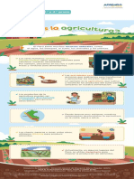 Qué Es La Agricultura - Infografía