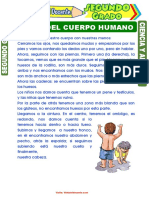 Partes Del Cuerpo Humano para Segundo Grado de Primaria