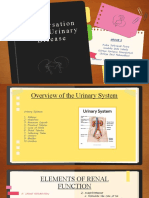 Understanding the Urinary System and Common Disorders