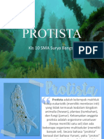 PROTISTA