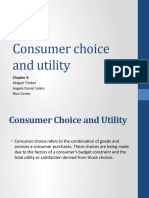 Consumer choice and utility: Total satisfaction from affordable goods