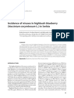 Incidence of Viruses in Highbush Blueberry (Vaccinium Corymbosum L.) in Serbia