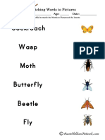 Insects Words To Pictures
