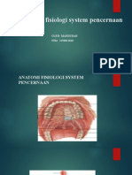 Anatomi Fisiologi System Pencernaan
