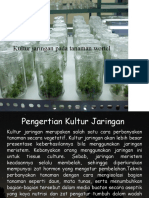 Kultur Jaringan Pada Tanaman Wortel