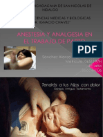 Anestesiayanalgesiaeneltrabajodeparto 091026181818 Phpapp01