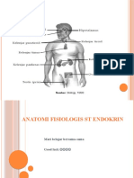 Anatomi Fisiologis ST Endokrin