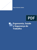 Ergonomia Saude e Seguranca Do Trabalho