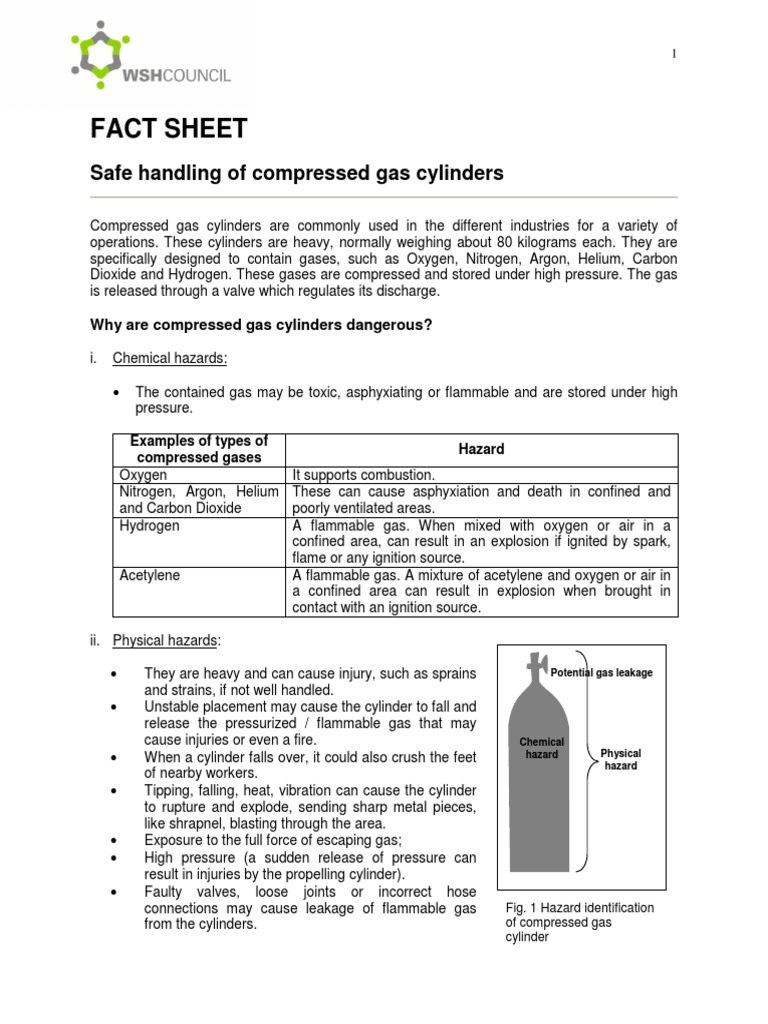 WSH Bulletin Safe Handling of Gas Cylinders (100113) PDF
