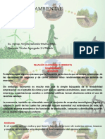 Economia Ambiental Originales