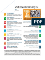 S1C2. Objetivos de Desarrollo Sostenible (ODS) - Resumen