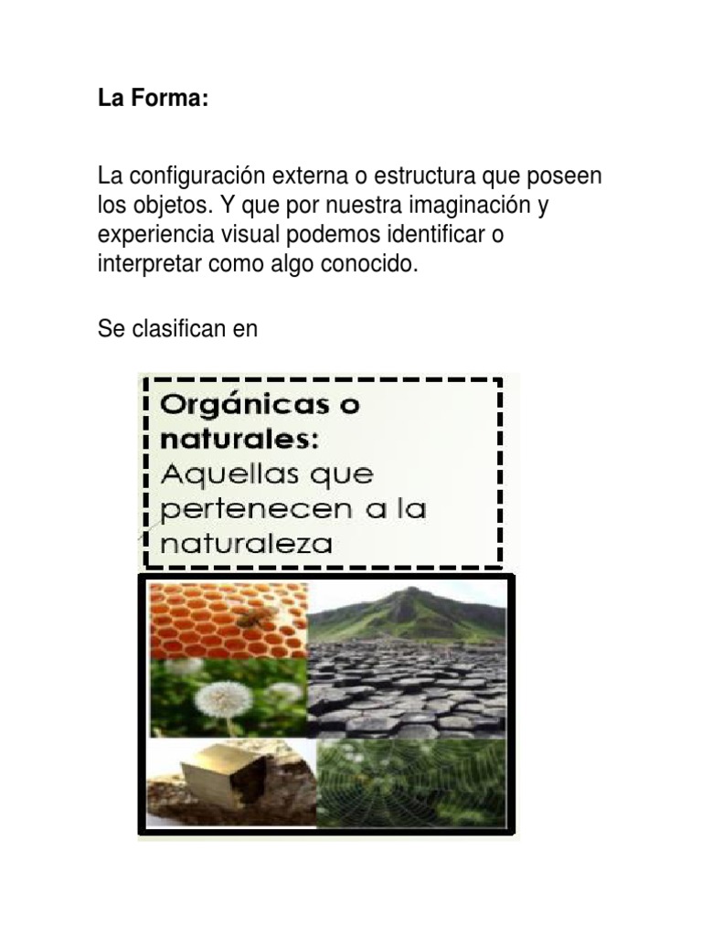 Forma | PDF