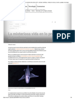 La Misteriosa Vida en Lo Profundo Del Océano - N+1 - Artículos Científicos, Noticias de Ciencia, Cosmos, Gadgets, Tecnología