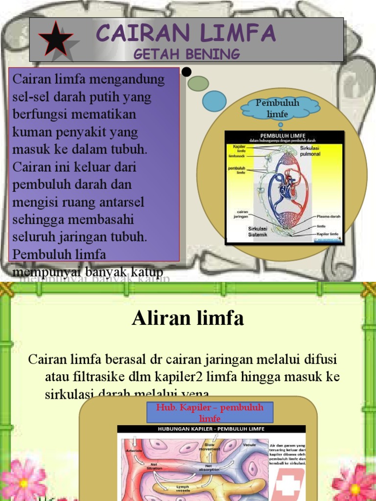 Cairan Limfa | PDF