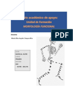 Texto Académico de Apoyo Morfología F.