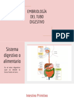 Embriología Del Tubo Digestivo (Clase Gastro)