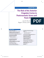 ACC Role in PTSD and Panic Disorder