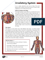 Circulatory System Reading