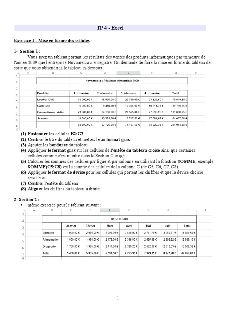 TP Excel : Mise en forme des tableaux | PDF