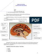 Materials Needed:: Nervous System Laboratory Procedure