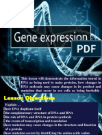 WK 4 DNA RNA