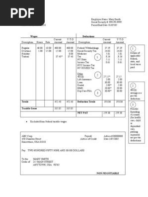 Pay Stub Template Free
