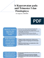 Masalah Keperawatan pada Ibu Hamil Trimester I