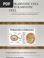 Prokaryotic Cell Vs Eukaryotic Cell