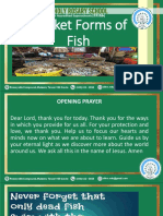 Discover Market Forms of Fish