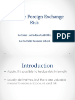 Chapter 6: Foreign Exchange Risk: Lecturer: Amadeus GABRIEL La Rochelle Business School