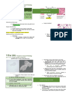 Vpat 101:: Veterinary General Pathology