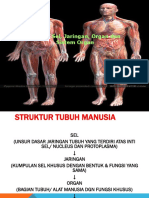 Konsep Sel, Jaringan, Organ Dan Sistem Organ