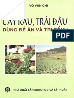 Cây Rau, Trái Đậu Dùng Để Ăn Và Trị Bệnh 