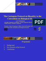 The Cartagena Protocol On Biosafety To The Convention On Biological Diversity