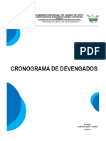 CRONOGRAMA DE DEVENGADOS