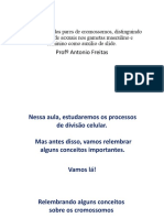 Divisão celular haploide e diploide