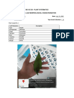 Plant Systematics Activity