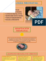 Neonatal Diapositiva Falta