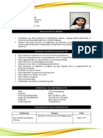 Example Resume
