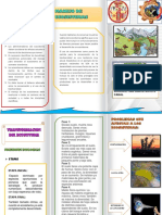 Trictico de Manejo y Transformacion de Ecosistemas