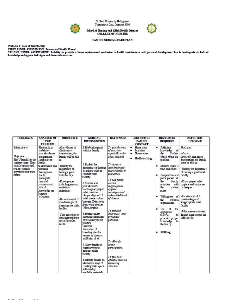 FNCP Sample | PDF | Nursing | Sanitation